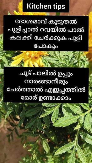 / Try adding these two in hot milk and you will see the miracle/#kitchentips#