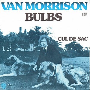 Van Morrison - Bulbs