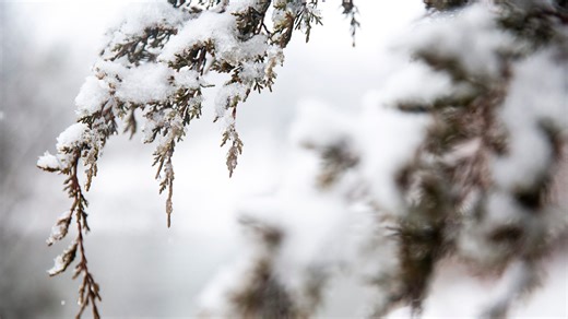 Will Iowa have a White Christmas in 2024? What the weather forecast says about snow chances