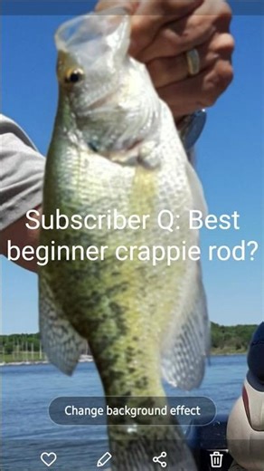 The BEST begginer crappie rod (Under $25) #shorts #fishing