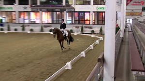 9,33, was für eine phänomenale dressurbetonte Endnote! 😱 ▶️watch.clipmyhorse.tv/2-taegige-Kurz-VA-Muenster-Handorf-2022 Der 3-jährige Hengst Vogue (v. Vitalis x Fidertanz, Z.: ZG Werth) aus dem Besitz von Helgstrand Dressage erhielt heute insgesamt 4️⃣ x die Note 9,5 und besser für seinen Trab, Galopp, Leistungsbereitschaft sowie Rittigkeit. 🤩 Mit seiner herausragenden Performance setzte er sich bei der 2-tägigen Veranlagungsprüfung in Münster-Handorf an die Spitze des Feldes der 3-jährigen He