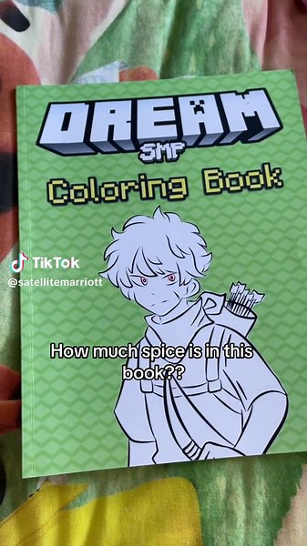 Ive heard its bad 😭 #dreamsmp #colouringbook #spice #booktok #tommyinnit #tubbo #dream #sapnap #georgenotfound #philza #ranboo #exdsmpfan #wilbursoot #supportvictims #viral #mcyt #minecraft #fyppppp