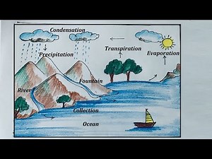 Water Cycle Drawing and Explanation for School Project | Water Cycle Diagram