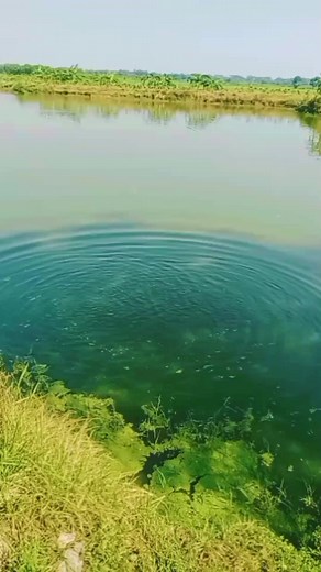 Funny fishing video #funny #fishing #video #viral | Fish Bongo