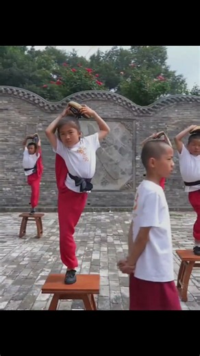 You won't believe how flexible these kids are #flexibility #shaolin #martialarts