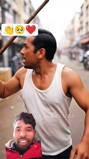 #pets #cute #helping 👏🥺😭❤️