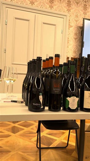 Croatian Uplands Masterclass 🍷🇭🇷📝
