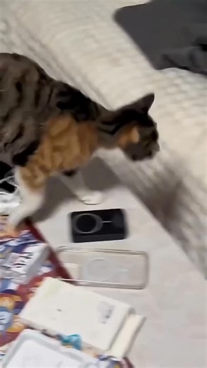 cute cat on Instagram: "In Japan, researchers are using smart walkways to turn everyday activities into clean energy 4. These roads are embedded with special piezoelectric material that can collect kinetic energy from pedestrians' footsteps. When people walk, run or jump, the road surface is slightly deformed, creating mechanical pressure. Piezoelectric crystals convert this pressure into electrical energy. This energy can be used to illuminate street lights, power public displays, and even moni