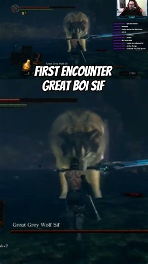 Average dog lover vs Great Grey Wolf Sif #gaming #darksouls #live