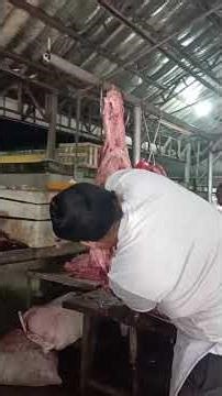 Hind Quarter Beef Pelvic removed