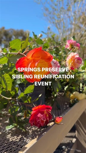 A beautiful day for siblings to reunite. 請❤️☀️ Over the weekend we took a trip to @springspreserve! We had a great day exploring 180-acres of beauty, soaking up the sun, learning in the Teaching Garden and reuniting many siblings separated in foster care. Learn more at stjudesranch.org. #CommunityofHope #CommunityWithHeart #SpringsPreserve #SiblingReunification | St. Jude's Ranch for Children | Facebook