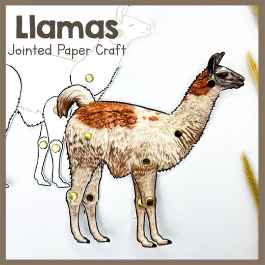 Llama | Jointed Animal Craft | Articulated Craft | Llamas