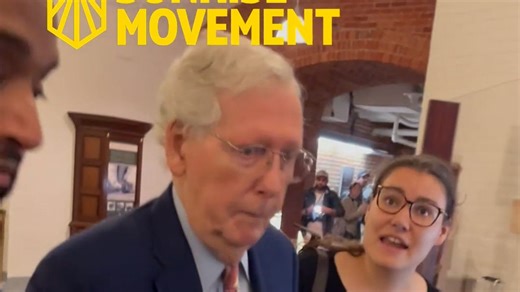 Sen. Mitch McConnell trips, falls while being confronted by protester