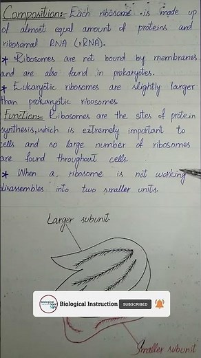 #shorts Class 9th | Biology | Chapter 4 | Ribosomes | biological instruction