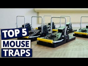 Best Mouse Traps for Home and Garden: Safe and Reliable
