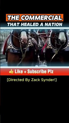 The Super Bowl Commercial That Helped Heal a Nation 🇺🇸 #budweiser #clydesdale #football