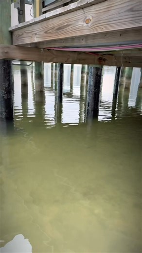 We’re kicking off a new project today with 96 pilings receiving top-tier protection. From surface prep to final installation, our process is designed for long-term durability and performance. Take a look at how our piling wraps stand above the competition through high-quality materials, precise installation, and attention to detail from start to finish. | Tank It Scuba Marine Contractors