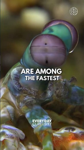 The Scream: Edvard Munch's Masterpiece of Existential Dread