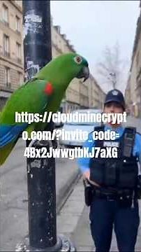 coco parle avec policière #funny #humor #animals #pets #birds