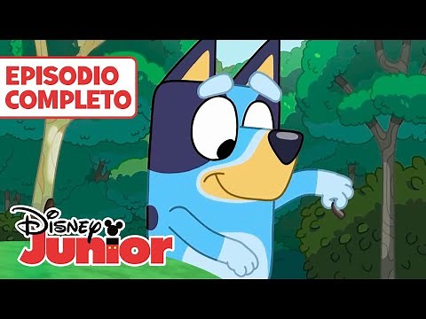 BLUEY: El arroyo 🥰 | CONTENIDO ACCESIBLE: AD | EPISODIO COMPLETO | ‪@DisneyJuniorES‬