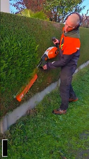 Hedge Trimming with Stihl