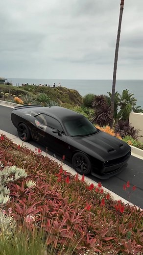 Dodge Challenger 🖤🖤🖤 #dodge #dodgechallenger #dodgehellcat #dodgecharger #dodgedemon #srt #srtdemon #cars #trend #tiktok #carsoftiktok #carlovers #carhub #carcommuinty #carlifestyle #carguy #fypシ゚viral #performance #speed #fast #viralvideo #exploretiktok #soundviral #trendingvideo