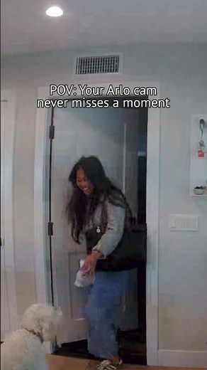 Caught on Arlo: Every Day Life in Action with Crystal-Clear Video #HomeSecurity #SmartHome #Safety