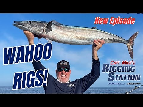 Wahoo rigs | Wahoo rigs for trolling | Wahoo fishing rigs | Best wahoo rigs 2024 | FSFTV