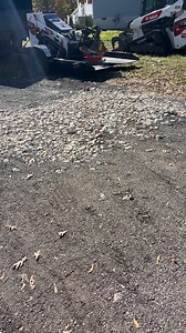 Beaver Tree on Reels | Facebook