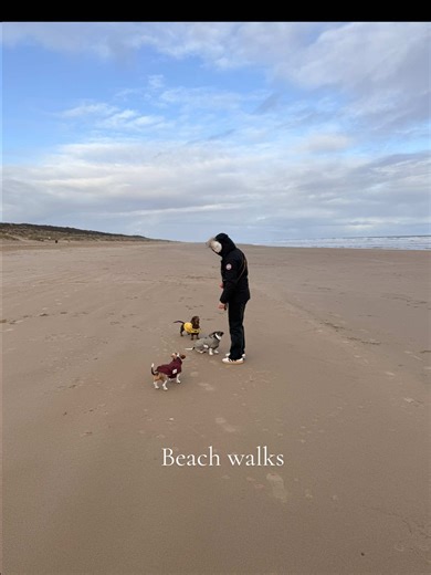 Beach Walks with Sandy Paws and Waggy Tails