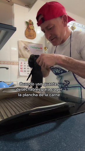 Humorous Kitchen Moments with a Playful Kitten