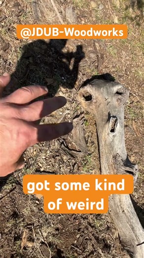 Alien Resurrection Coming Soon #driftwoodart #woodscraft #wood #woodstatue #woodwork #arbortec