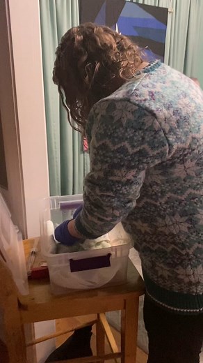 Rescuing a Veiled Chameleon with Metabolic Bone Disease