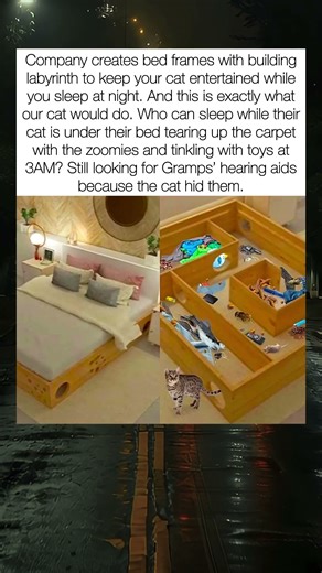 Cat Labyrinth Under The Bed