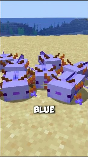 How to get the RARE BLUE AXOLOTL in #minecraft