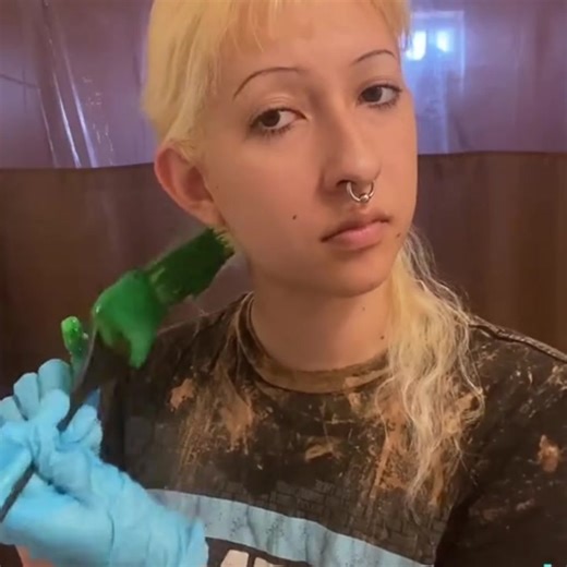 Cabelo Verde: Estilo e Criatividade na Cor Verde