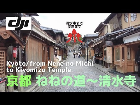 【京都散歩】ねねの道から清水寺の人気エリアを歩く│from Nene no Michi to Kiyomizu Temple │京都/祇園・東山│【DJI Pocket2】