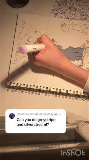 Greystripe and silverstream drawing for @JellyPlaysWCfan #warriorcats #art #drawing