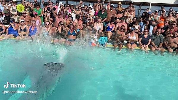 Who knew that I had winning the belly flop contest on my bingo card?!?