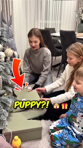 Wait Until She Opens The Box 🥺 📦 #ChristmasSurprise #Heartwarming #PuppyLove #shorts