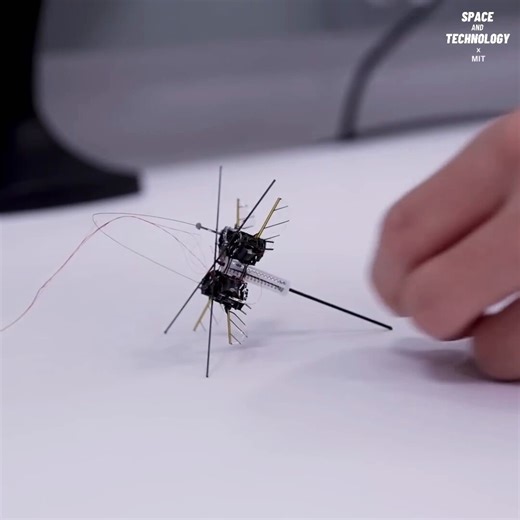 Engineers at MIT created a tiny jumping robot smaller than a thumb and lighter than a paper clip.It uses a spring-loaded leg to jump and flapping wings to stay stable in the air.The robot can jump four times its height and carry much more weight than similar small flying robots.