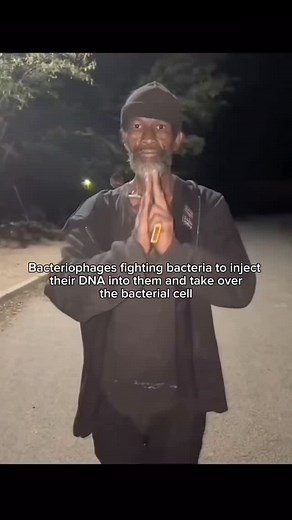 GenCore Biology 501(c)(3) Sponsored Nonprofit | Bacteriophages fight bacteria by attaching to their surfaces and injecting their genetic material. Once inside, they hijack the bacterial... | Instagram