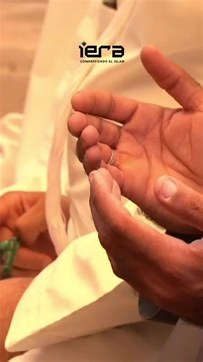 El Islam es la religión de todos los profetas. la palabra Islam significa sumisión total y obediencia a Dios, un solo Dios que no tiene socios ni hijos. Islam se basa en los principios de justicia, paz, tolerancia, misericordia hacia todos nuestros hermanos en la humanidad. Los musulmanes tienen una *conexión directa* con su Creador. (La persona que sigue el Islam se llama musulmana.) No hay ningún intermediario, como rezar a otros o a través de ellos, para adorar a Dios. Y esto es lo que hace q