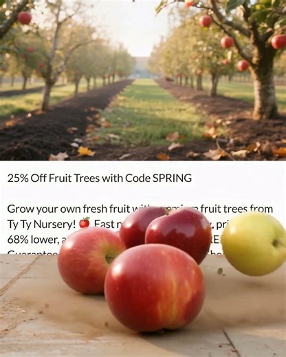 Why Ty Ty Nursery Is the Best Place to Buy Fruit Trees Online