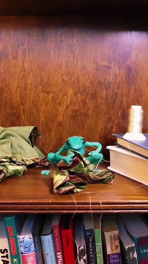 Groovy Rainbow Frog Sewing Animation