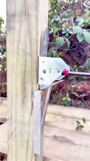 how to join wood with clam plates