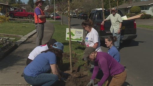 Donate Life hosts Portland tree-planting event
