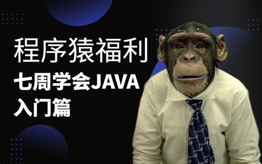 听得懂学的会的Java零基础课程 七周独立写程序