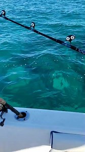 Pescando | Caza y pesca en Miami