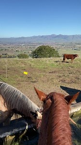 “There’s nothing like riding a nice horse into new country” ~Augustus McCrae | Warwick Schiller's Attuned Horsemanship